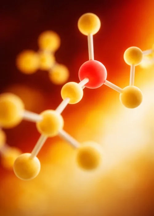 6EB26360-0EFA-4EB3-8553-0AF1BBEEFE18